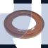 RETENTOR FLANGE DIFERENCIAL EV90/91 - PETTENUZZO - 1673701/1523239 - Imagem: 1